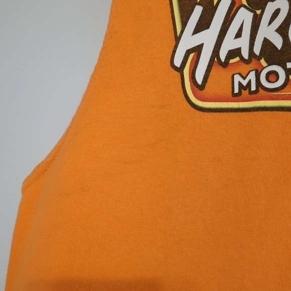 Harley-Davidson Muscle Shirt Men's L Superstition Apache Junction VTG Bikercore - Picture 2 of 7